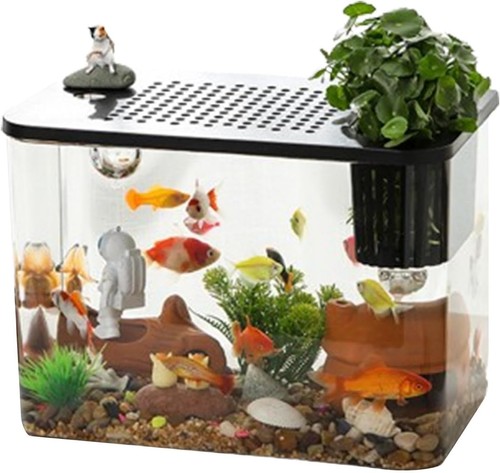 Aquarium betta - aquarium, –
