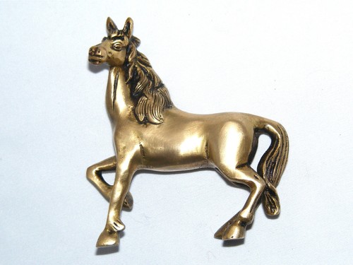 Schönes pferd aus indien - schÖnes,