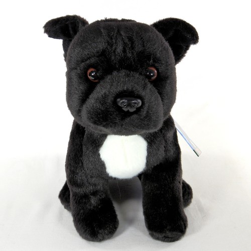 Staffordshire bullterrier - staffordshire,