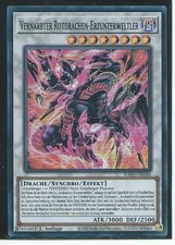 Vernarbter rotdrachen - oh,