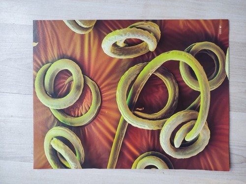 Poster 90er jahre zeitschrift - jahre,