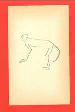 Affe * Benedikt Fred Dolbin (1930) – [ZOO-21]