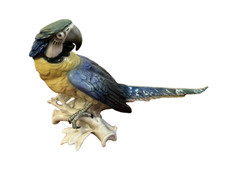 ENS Porzellan Porzellanfigur großer Ara Gelbbrustara top Zustand beeindruckend