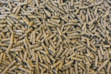 Chinchillafutter 10 kg reine