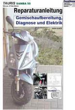 Reparaturanleitung RIS für