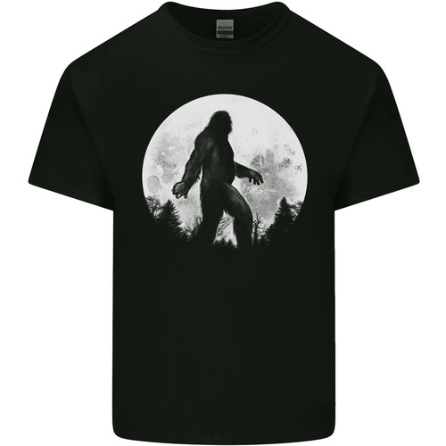 Bigfoot with moon background - moon,