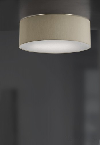 Hufnagel mara 930653 - mara,