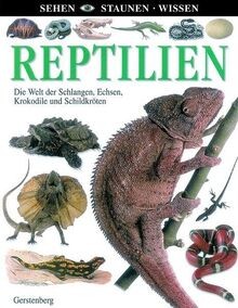 Reptilien sehen staunen - (sehen,