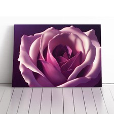 Schillernde Rose Blume