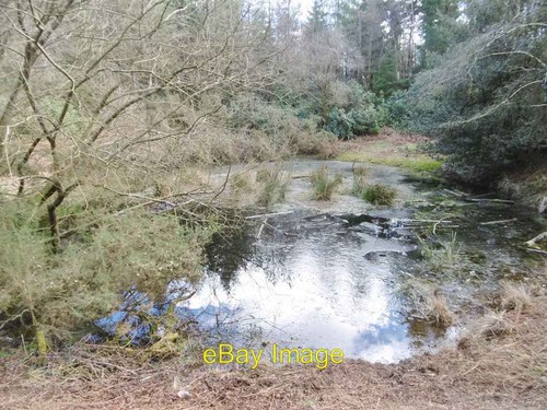 Foto 6x4 puddletown teich - 6x4, puddletown,