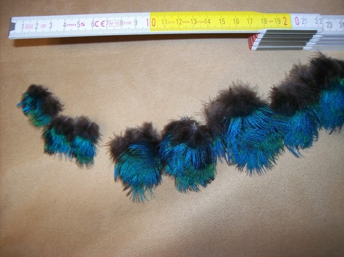 Mini federn pfau blaue - mini,