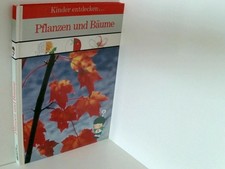 Pflanzen und Bäume Bush
