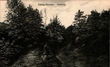 AK GRUSS AUS WESTPREUSSEN SUCCASE ELBING HOHLWEG UM 1910