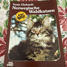 Norwegische Waldkatze
