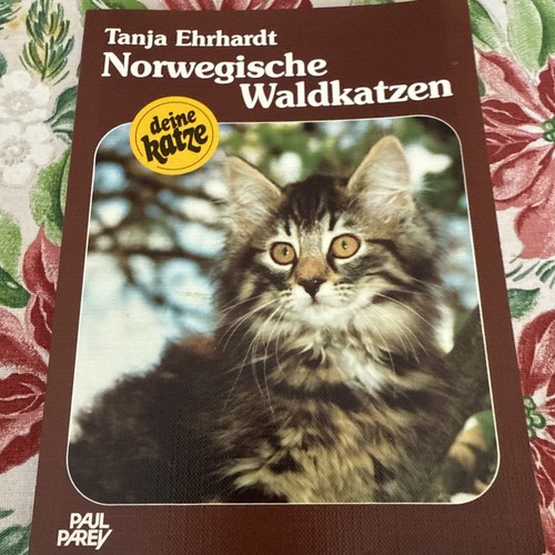 Norwegische waldkatze - norwegische,