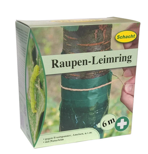 Leimring rekord gegen - rekord,
