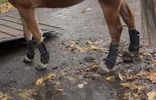 Fesselkopfgamasche 4er Set