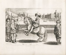 Reitschule riding school Pferd