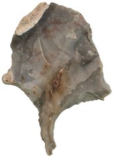 Neolithikum  Großer Bohrer  Perforateur  Montrame  Soisy-Bouy  Frankreich  W76-7