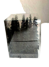 HO SEHR SCHÖNE NADELBÄUME TOP ´´  !!!