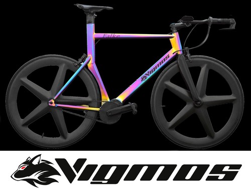 Pinion time triathlon bike - time,