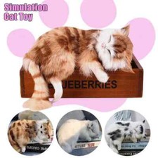 Realistische persische Katze