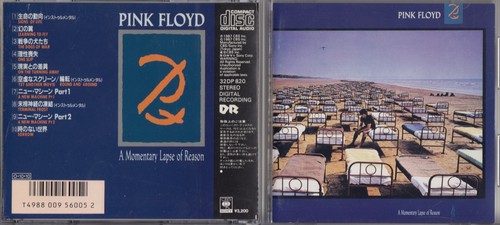 Pink floyd momentary - floyd,
