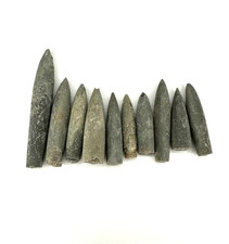 ★ Belemniten-Set (10 Stück)