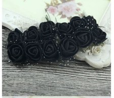 12-36 kleine Schaumrosen Rosen