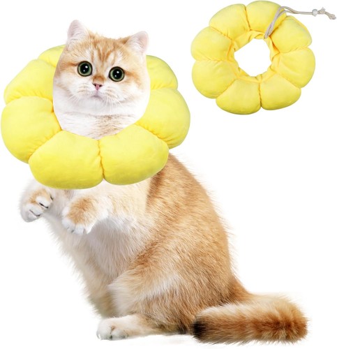 Halskrause katze leckschutz - halskrause,