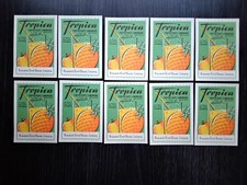 DDR Bieretiketten Bauer