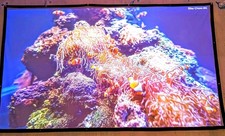 Dengbai Laser Beamer Atom