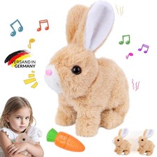 Interaktives Kaninchen