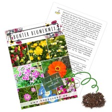 Blumensamen Balkonkasten