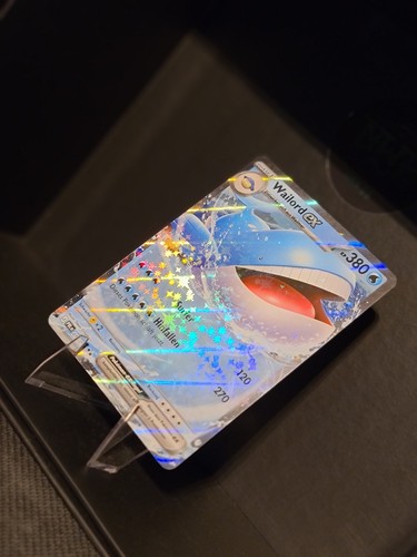Wailord 016 084 - wailord, 016/084
