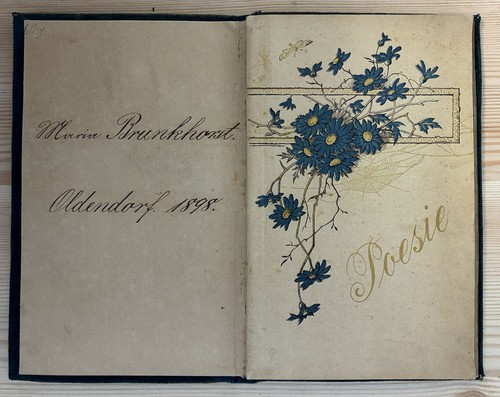 Poesiealbum alt 1898 - 1898,