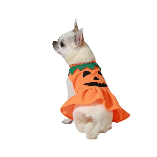 Hundekostüm kürbis größe - hundekostüm, m