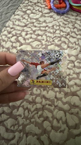 Panini fifa world cup - fifa,