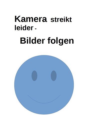 Garderobenhaken eule - 3, st.