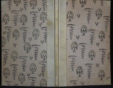 Schaeffer: Die Saalborner