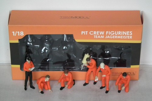 Tsm model team - model, 1/18