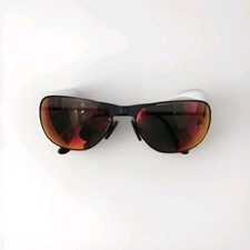 SONNENBRILLE RANDOLPH Raptor