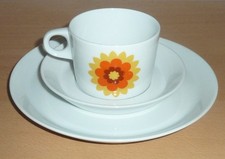 "Hutschenreuther" Novum   1x Kaffee-Gedeck - orange Blume ,  70er ,guter Zustand