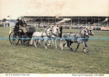 D024462 Mr. E. G. Rowleys