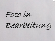 Wartburg 353 / 1,3  Trabant  Rosette für Fensterkurbel 