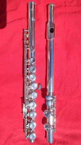 Aria ogawa japan f300 - aria, -e-