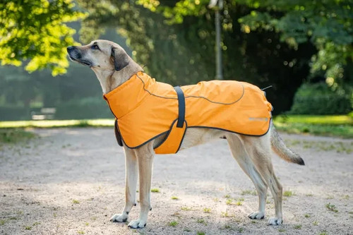 Hundemantel regenmantel - hundemantel,