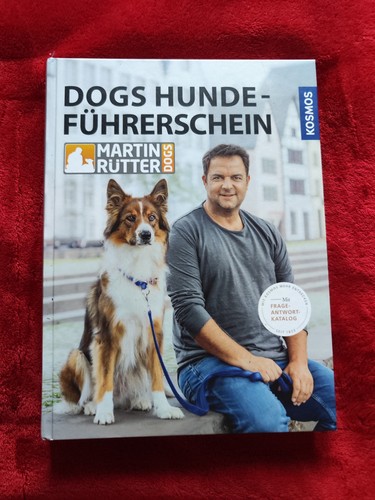 Dogs