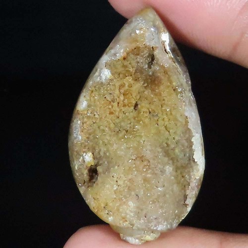 Natürlich fossil schnecke - natürlich,