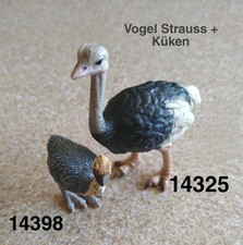 Strauß 14325 Schleich Vogel
